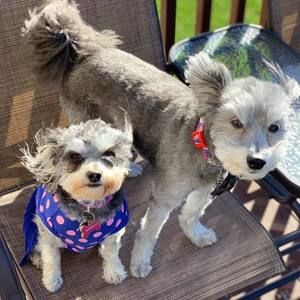 Meet your Posher, Keisha